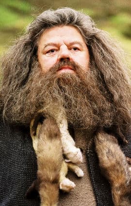 Robbie Coltrane as Rubeus Hagrid